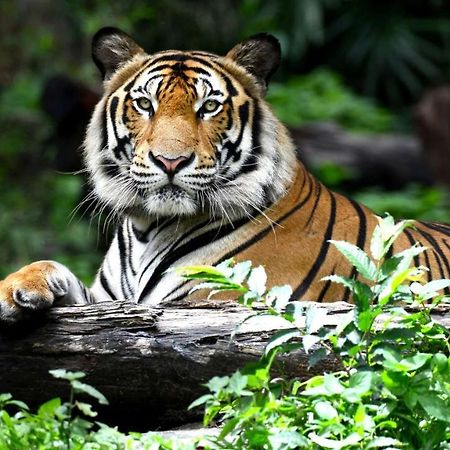 マグナソン ホテル ワウセオン Wauseon エクステリア 写真